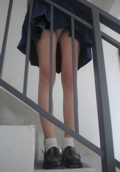 恐龙宝贝之龙神勇士第二季-豆瓣电影嘟嘟动漫网