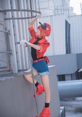 最后的礼物-影视大全在线手机播放