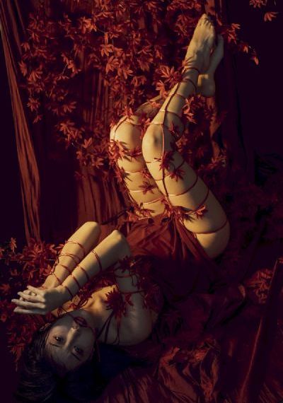 威尔和格蕾丝第二季-独播手机在线观看