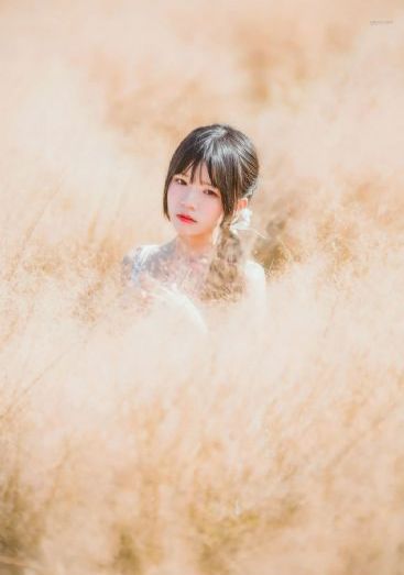 与我跳舞-免费国语版成人直接看