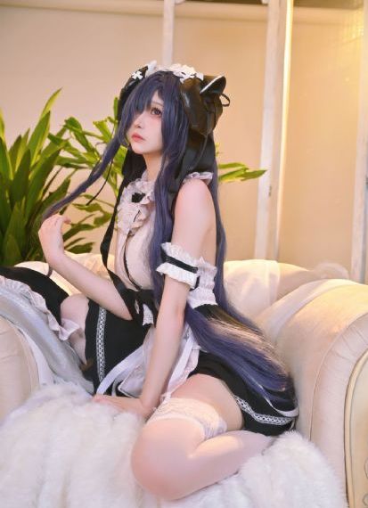 伏虎擒恶-最新国产免费全集观看