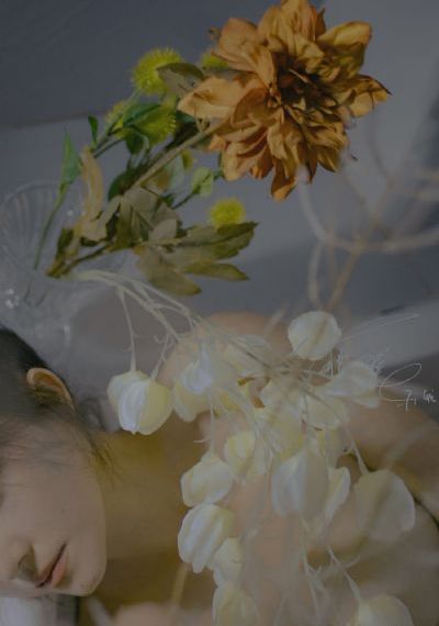 幸福一家人第二季-高清版欧美成人在线