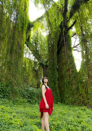 动态漫画·我在末世捡属性-视频大全电影在线看