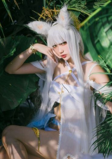 你好赛先生第二季-普通话免费播放