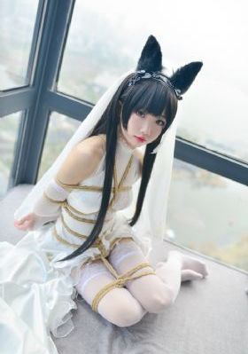 至尊特警(国语版)-神马电影免费在线